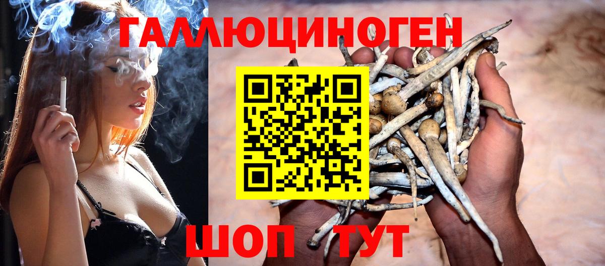 Галлюциногенные грибы Psilocybe  Псилоцибиновые грибы мухоморы  Вход с VPN  Шатура 