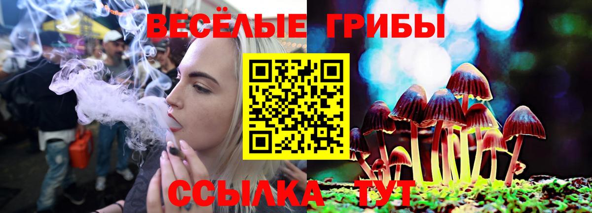 Галлюциногенные грибы прущие грибы Шатура